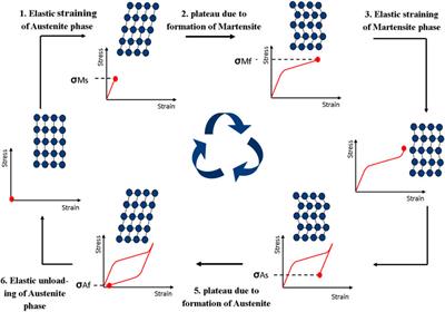 Medical high-entropy alloy: Outstanding mechanical properties and superb biological compatibility